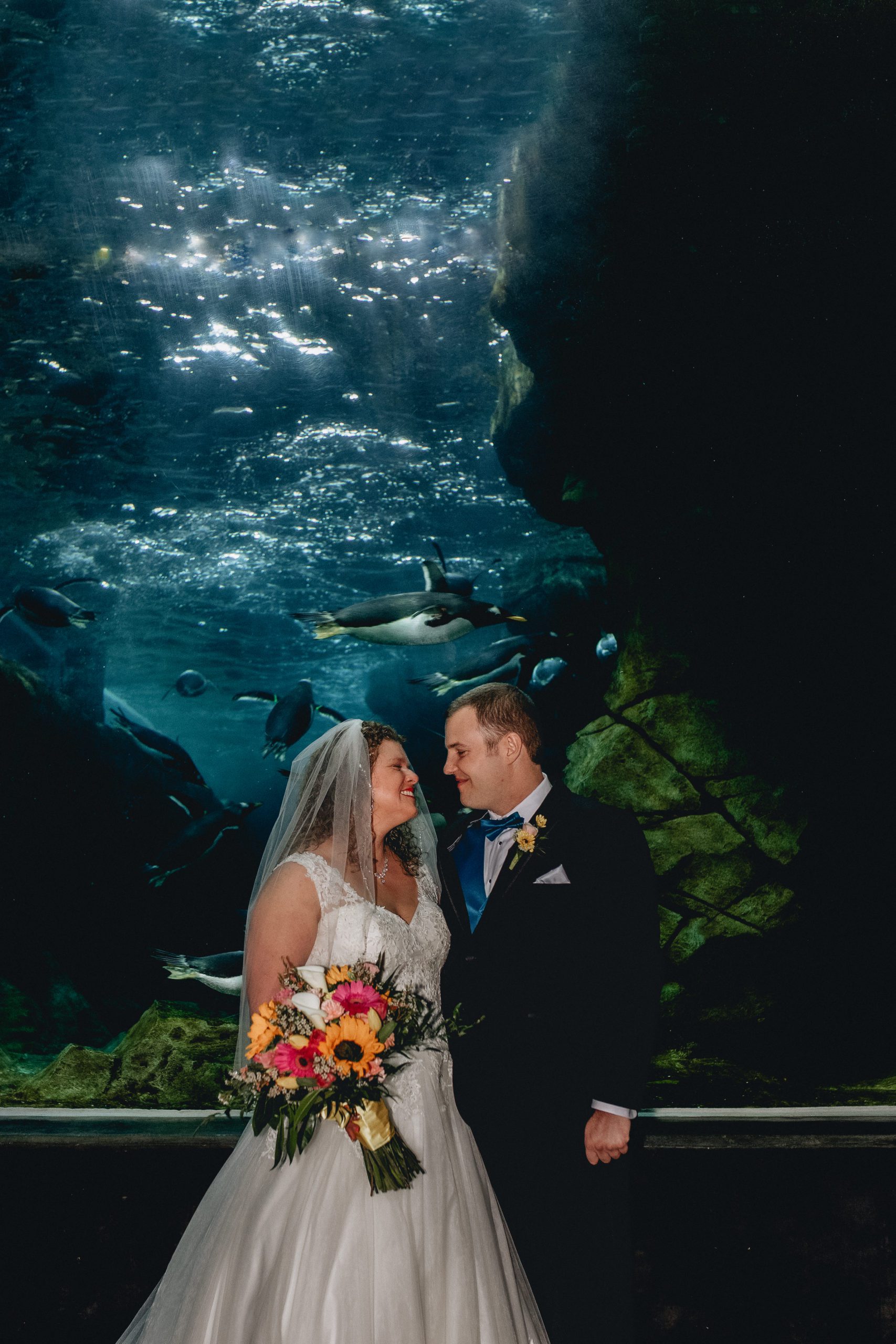 bride and groom gazing at each other inside penguin tank at the loveland living planet aquarium celebrating their utah aquarium wedding nicole thomas photography